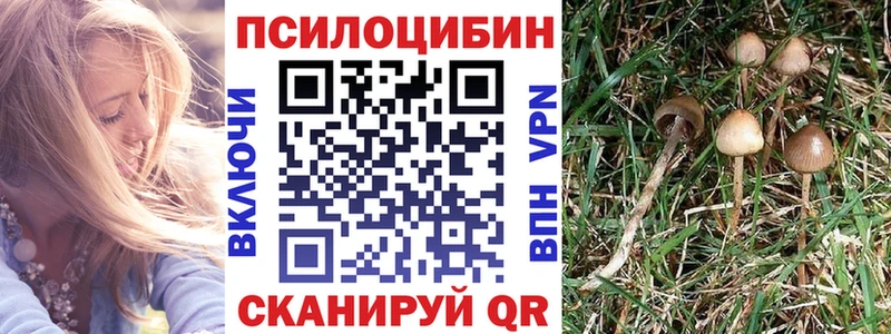 блэк спрут вход  Малаховка  Галлюциногенные грибы GOLDEN TEACHER 